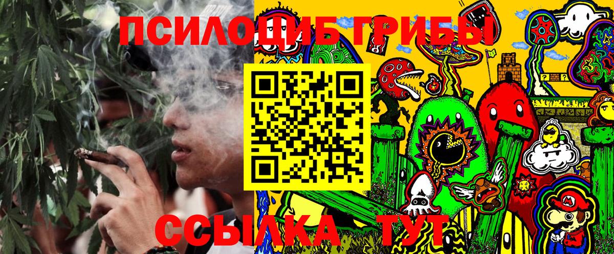 Малгобек  Псилоцибиновые грибы прущие грибы  Вход с VPN  Псилоцибиновые грибы Psilocybe 