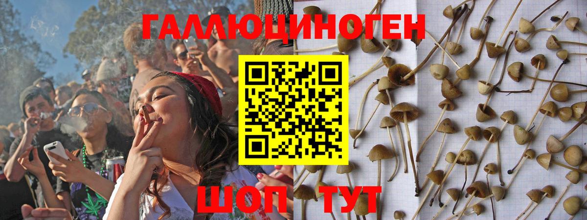 Галлюциногенные грибы GOLDEN TEACHER Малгобек